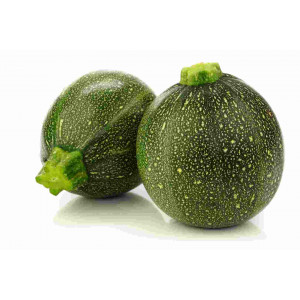 Courgette ronde verte