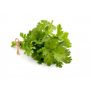 Coriandre botte