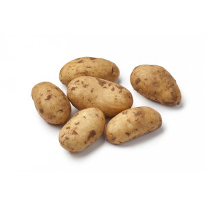 Pomme de terre spunta