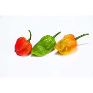 Piment antillais 100g