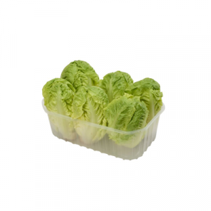 Salade coeur de sucrine x6