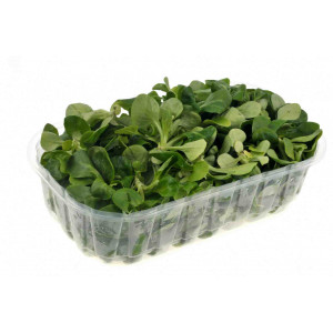 Salade mâche 125g