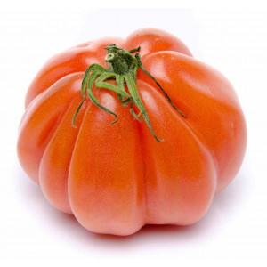 Tomate coeur de boeuf